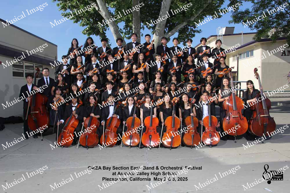 Musical Images